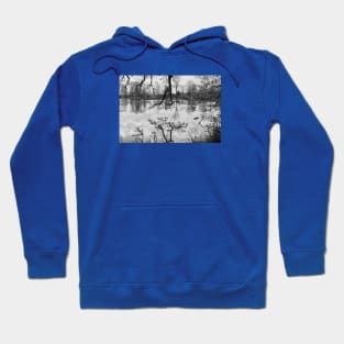 Mirror Lake / Swiss Artwork Photography Hoodie